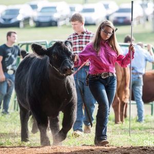 Meet your Posher, Chevy-lynn